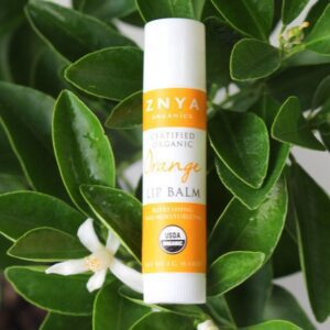 USDA Organic Orange Lip Balm