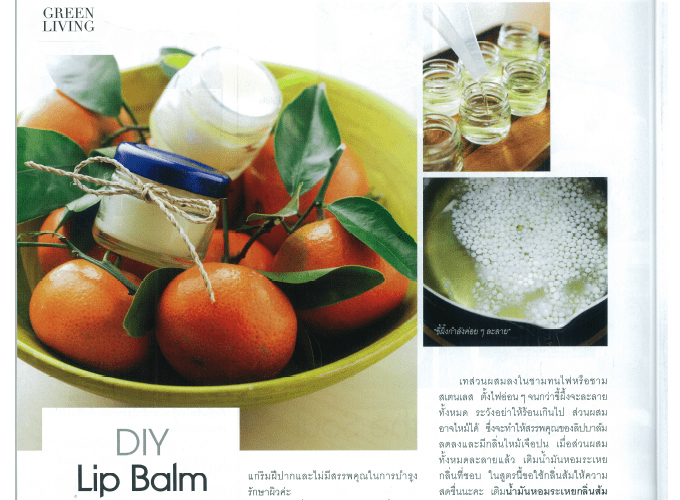 ZNYA Organics D.I.Y. Lip Balm